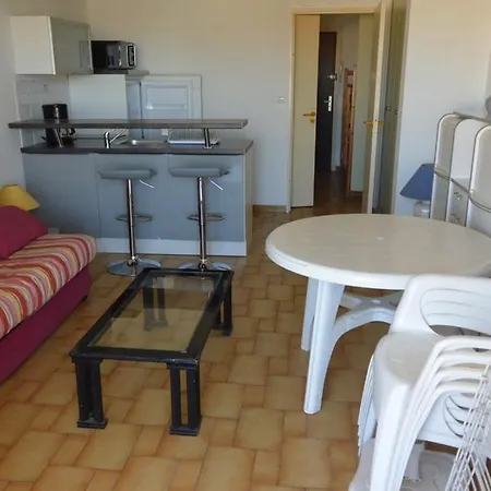 4 Pers Vue Mer Et Piscine Parking Ref Ig71d Апартаменты Агд